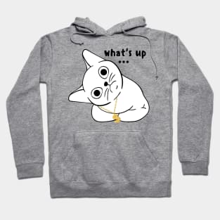 what's up, funny rich cat Hoodie